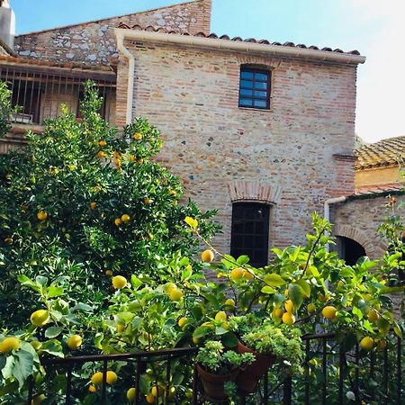 La Vieille Demeure Hotell Torreilles Eksteriør bilde